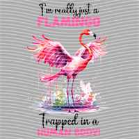 Animal Integration-DW 1734